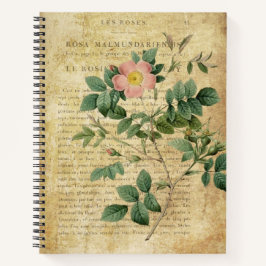Cuaderno Vintage Rosa malmundariensis