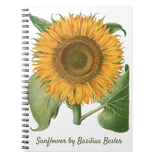 Cuaderno Vintage Sunflower Flower by Basilius Besler (Frente)