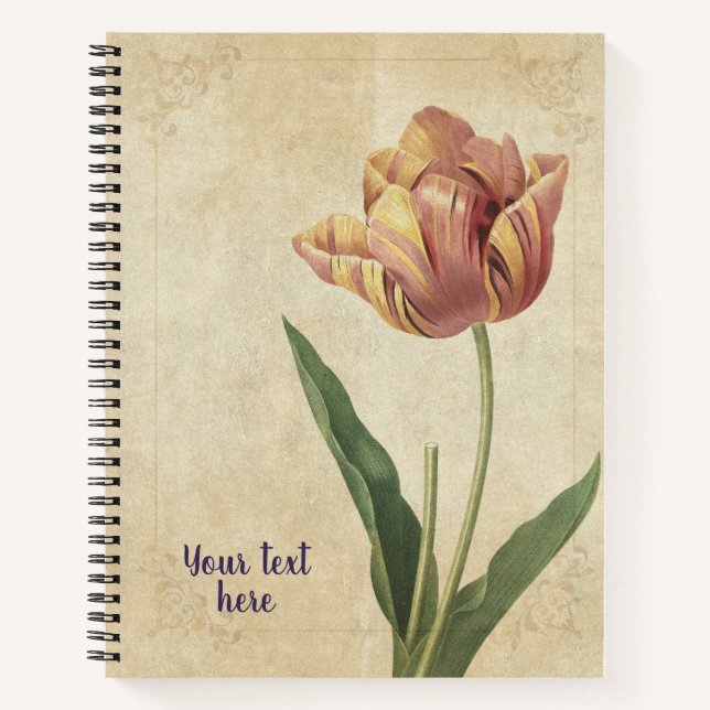 Cuaderno Vintage Tulip (Tulipa culta) (Anverso)