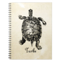 VINTAGE TURTLE