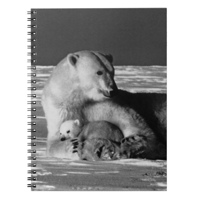 Cuaderno Vintage USA Alaska madre oso polar 1970 (Frente)