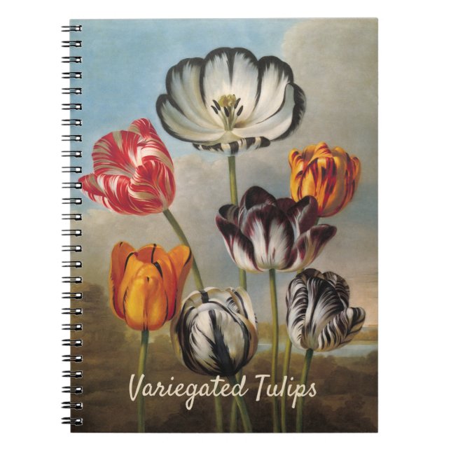 Cuaderno Vintage Variegated Tulip Flowers in a Landscape (Frente)