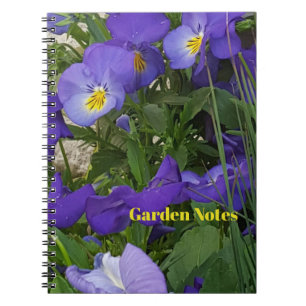 Cuaderno Violas Púrpura En Un Contenedor De Jardín