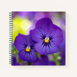 Cuaderno Violas púrpuras