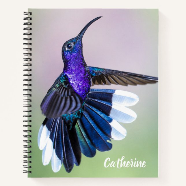 Cuaderno Violet Hummingbird con hermosas plumas Personaliza (Anverso)