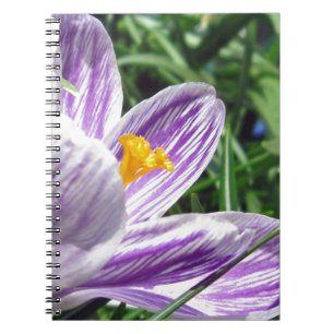 Cuaderno Violet Spring Crocus