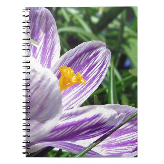 Cuaderno Violet Spring Crocus (Frente)