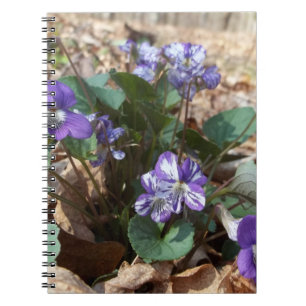 Cuaderno Violeta de madera meridional