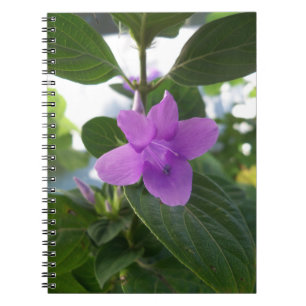 Cuaderno Violeta púrpura filipina