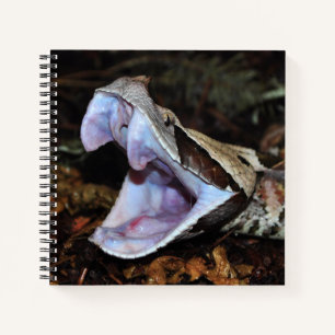 Cuaderno Viper de Gabón