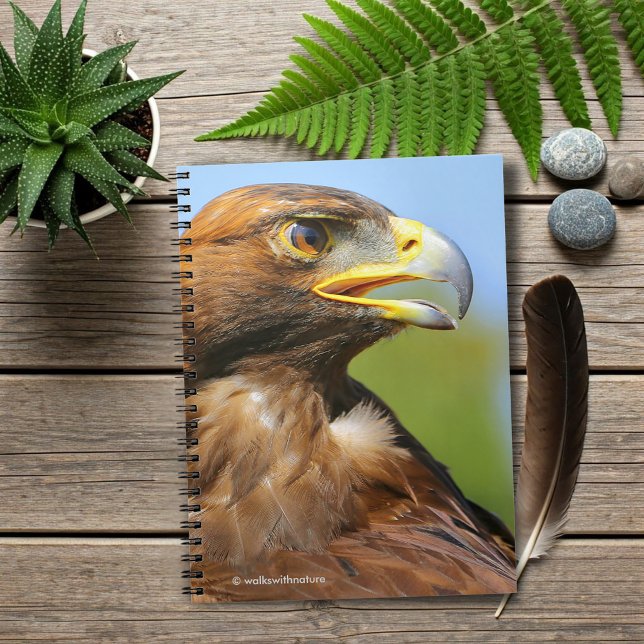 Cuaderno Visión de una bella joven águila dorada (Vision of a Beautiful Young Golden Eagle Journal Cover Photo)