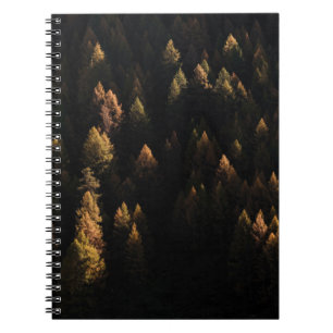 Cuaderno Vista aérea de los pinos