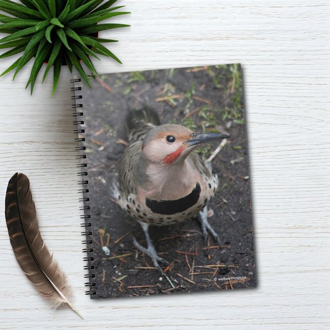 Cuaderno Vista aérea del pájaro carpintero del parpadeo del (Bird's Eye View of a Northern Flicker Journal Cover Photo)