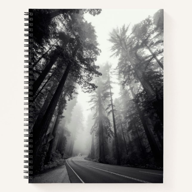 Cuaderno Vista De Árboles De Secuoyas En Bosques (Anverso)