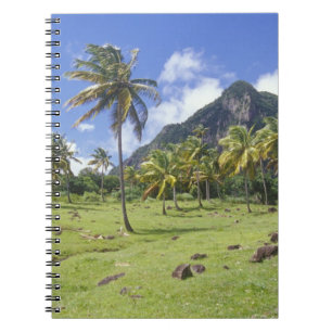 Cuaderno vista de Gros Piton a lo largo del sendero históri
