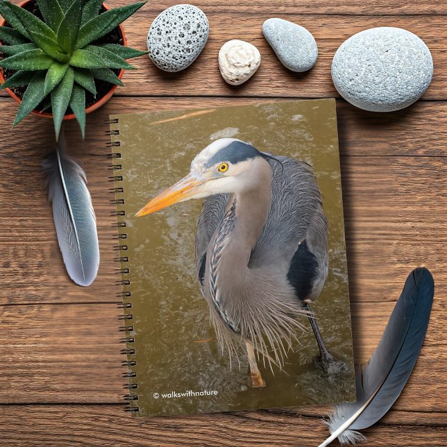 Cuaderno Vista descendente de una garza azul (Top-Down View of a Great Blue Heron Journal Cover Photo)