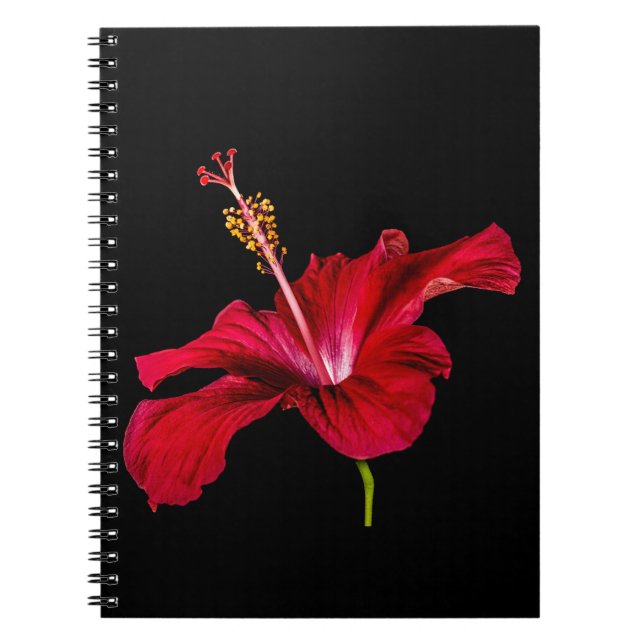 Cuaderno Vista lateral de las flores rojas de Hibiscus (Frente)