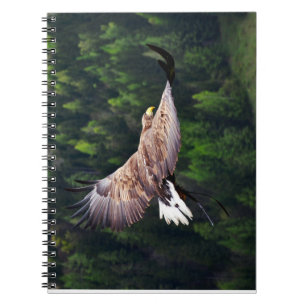 Cuaderno Vista ocular de águila