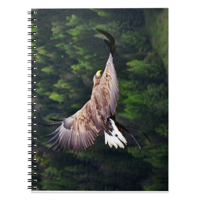 Cuaderno Vista ocular de águila (Frente)