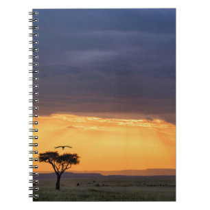 Cuaderno Vista panorámica de buitre y árbol de acacia