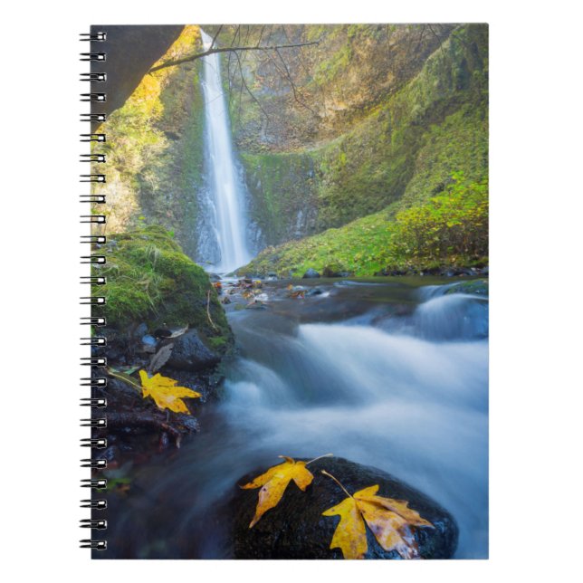 Cuaderno Vista panorámica vertical de Tunnel Falls (Frente)