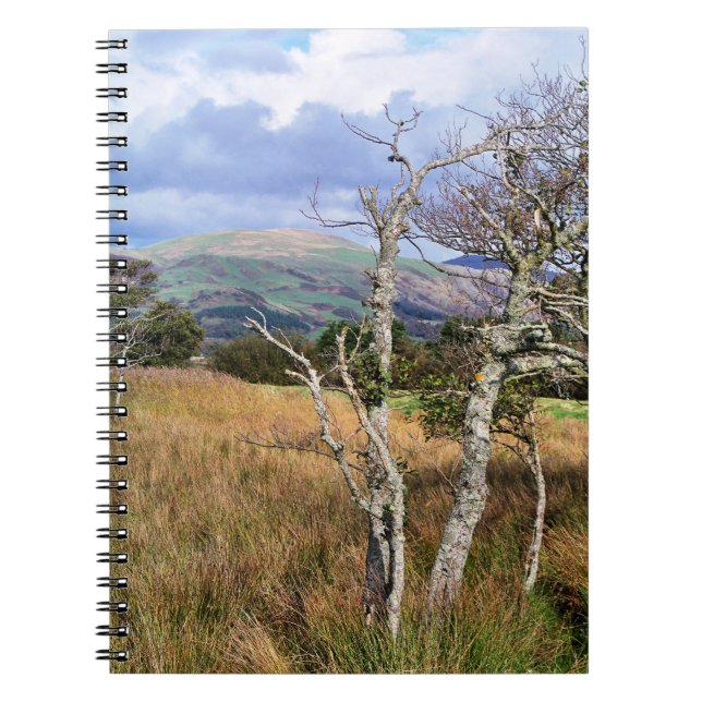 CUADERNO VISTAS DE GALES (Frente)
