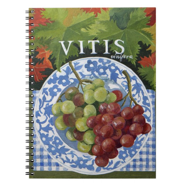 Cuaderno Vitus (Frente)