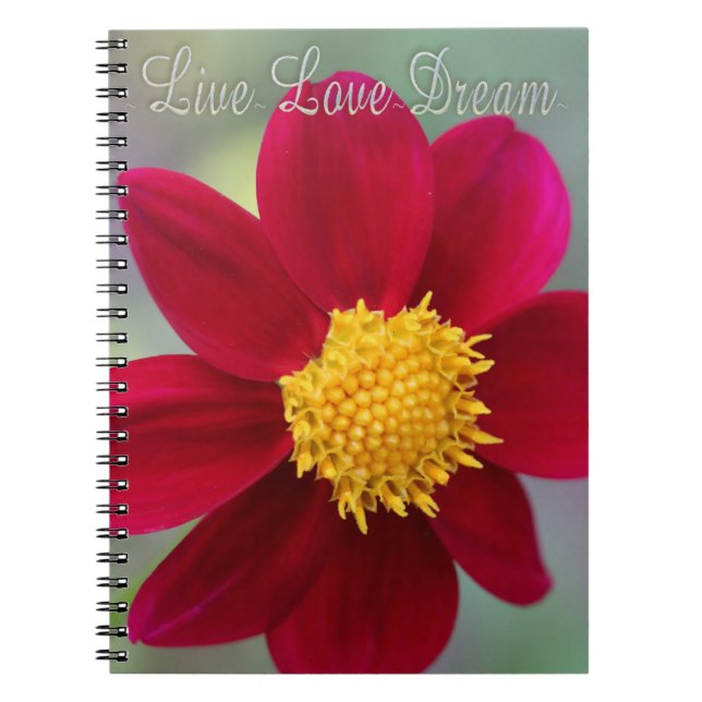 Cuaderno Vivir, amar, soñar (Frente)