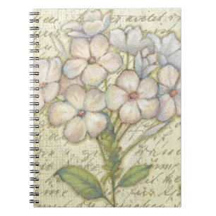 Cuaderno Vivo