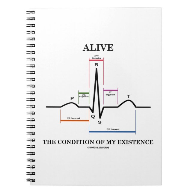 Cuaderno Vivo la condición de mi existencia (ECG/EKG) (Frente)