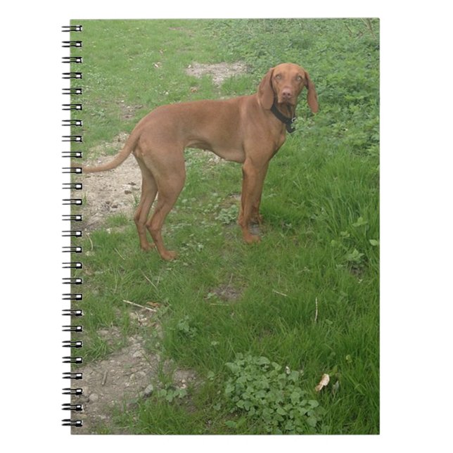 Cuaderno vizsla completo (Frente)