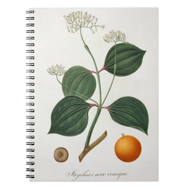 Cuaderno Vomica de nuez de Strychnos de 'Phytographie (Frente)