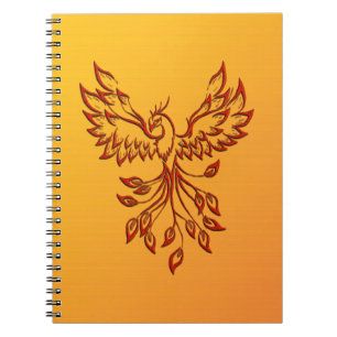 Cuaderno Vuelo de A Phoenix