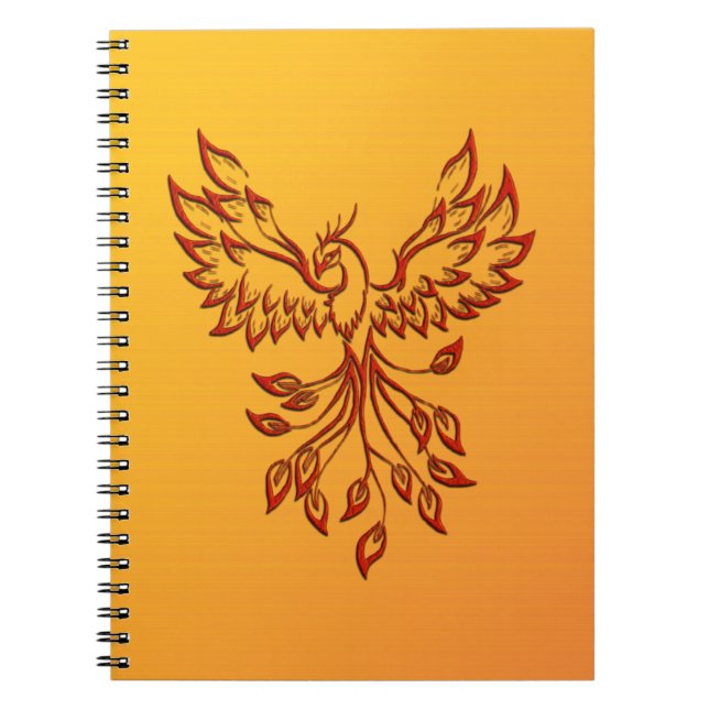 Cuaderno Vuelo de A Phoenix (Frente)