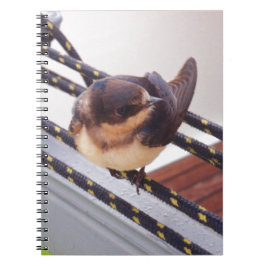 Cuaderno Vuelo Rápido en Yate