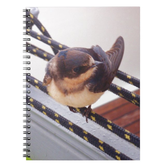 Cuaderno Vuelo Rápido en Yate (Frente)