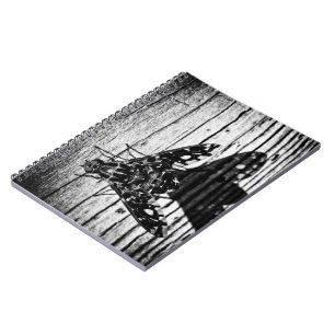 Cuaderno vuelve volando