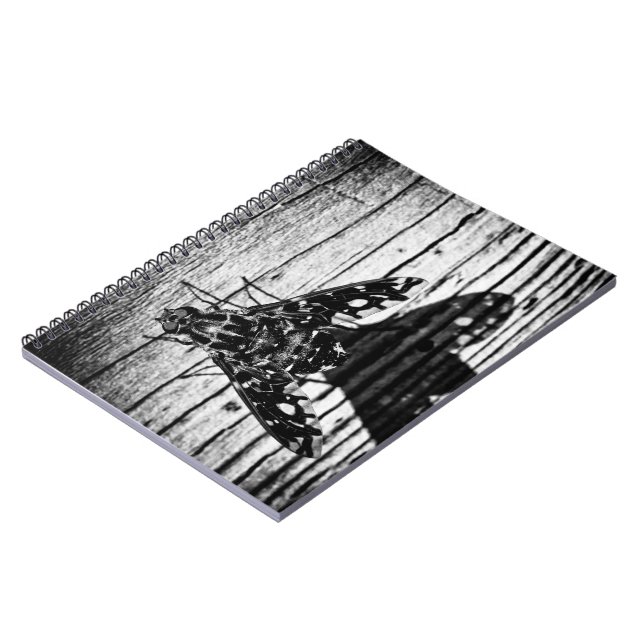 Cuaderno vuelve volando (Lado Izquierdo)