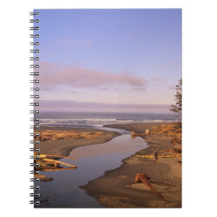 Cuaderno WA, Parque Nacional Olympic, playa Kalaloch y Kala
