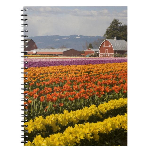Cuaderno WA, Valle de Skagit, Campos de tulipanes en flor,  (Frente)