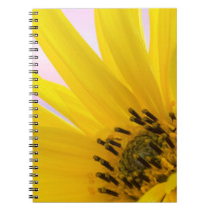 Cuaderno Washington. Detalle de flor de girasol 1