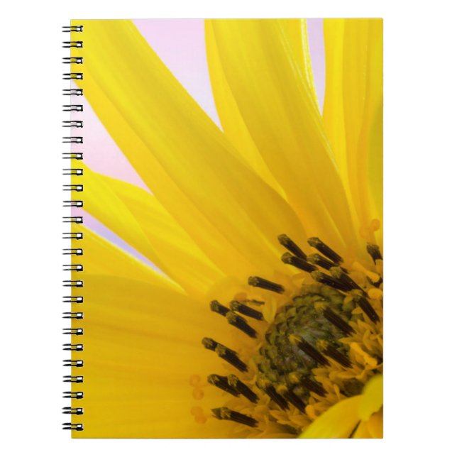 Cuaderno Washington. Detalle de flor de girasol 1 (Frente)