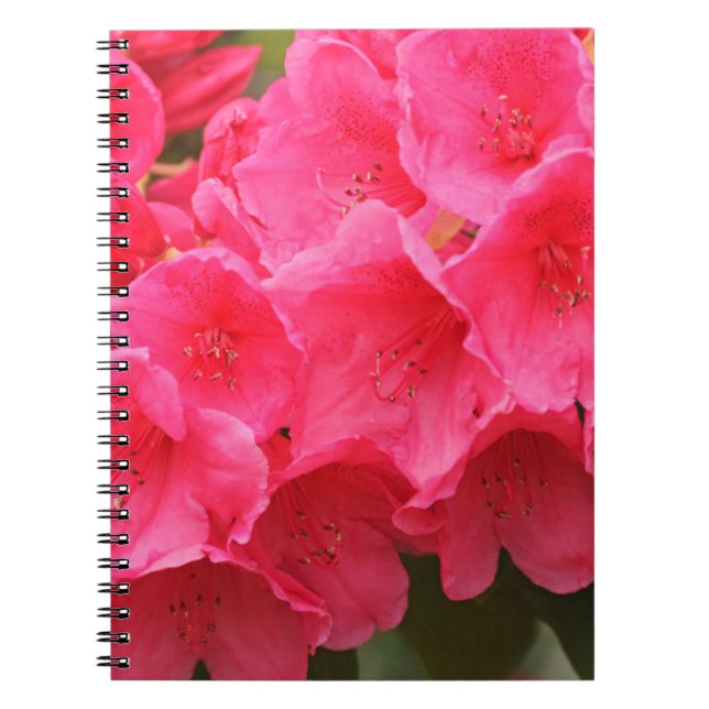 Cuaderno Washington, Seattle, Puget Sound, Discovery Park (Frente)