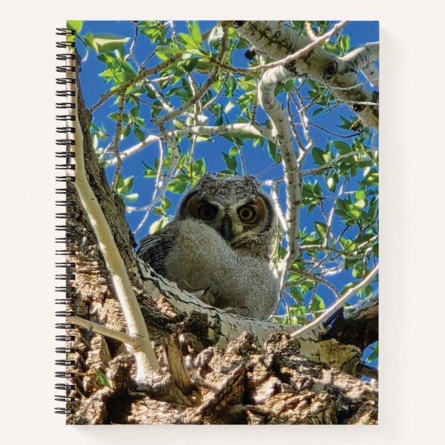 Cuaderno Watching You Spiral Notebook (Anverso)
