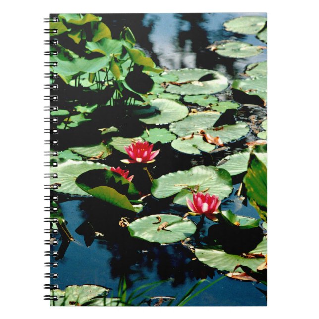 Cuaderno Water Lilies (Frente)