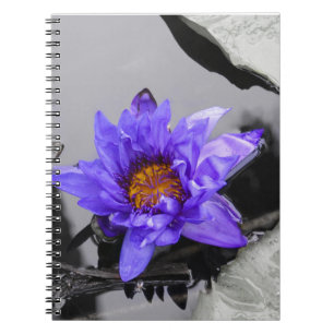 Cuaderno Water Lily