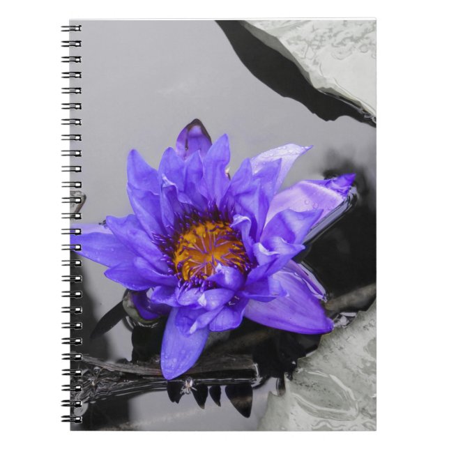 Cuaderno Water Lily (Frente)