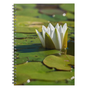 Cuaderno Water Lily Blossom
