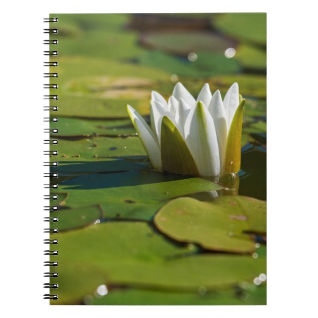 Cuaderno Water Lily Blossom (Frente)