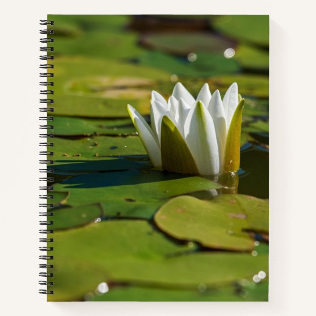Cuaderno Water Lily Blossom (Anverso)